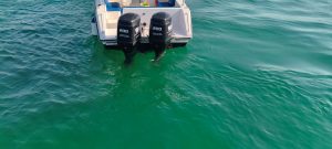 WhatsApp Image 2026-02-07 at 5.06.12 PM(1)